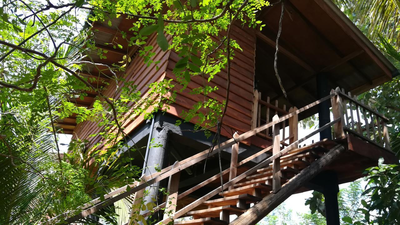 시기리야 Sigiri Sarilco Rock View Treehouse 빌라 외부 사진